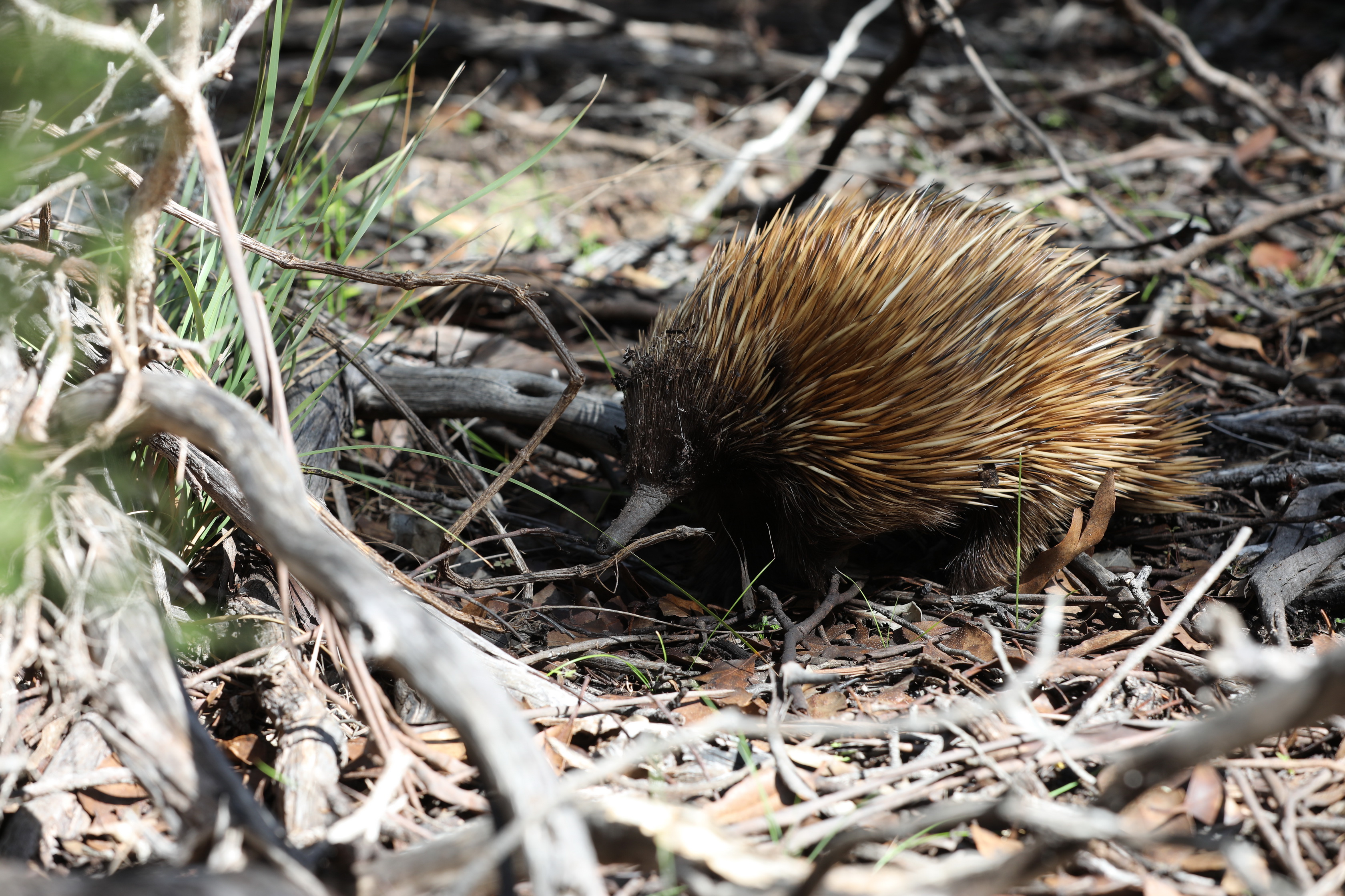 2019 09 30 15 01 07 Canon EOS 5D Mark IV 0018